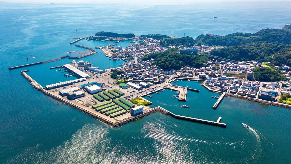 An aerial view of a coastal town with a marina, docks, and surrounding greenery.