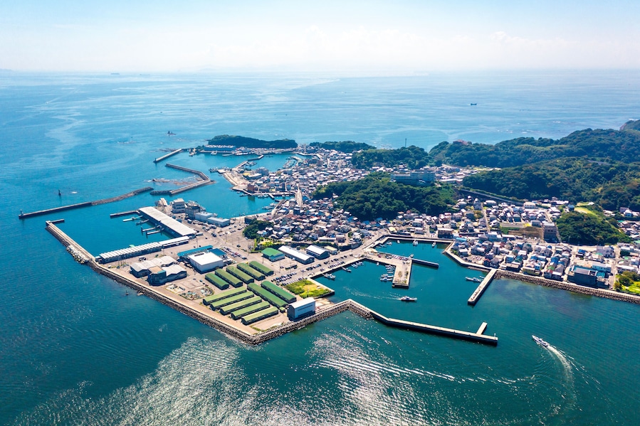 An aerial view of a coastal town with a marina, docks, and surrounding greenery.