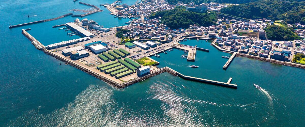 An aerial view of a coastal town with a marina, docks, and surrounding greenery.
