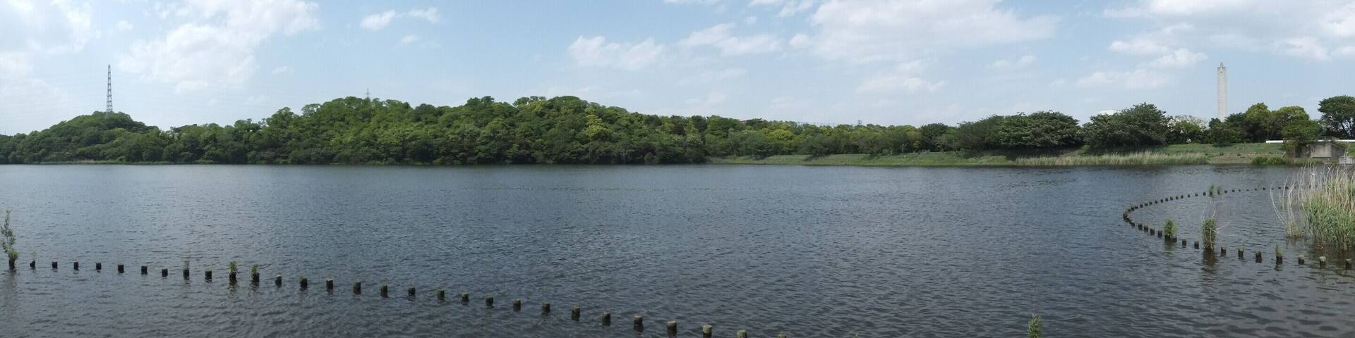 長成池公園180度(南岸)