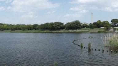 Un lago tranquilo con una pasarela de madera y una isla boscosa al fondo.