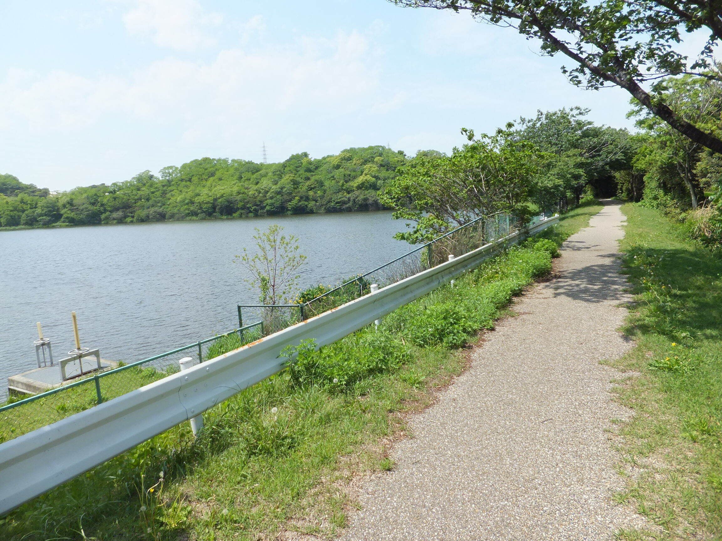 長成池公園／遊歩道
