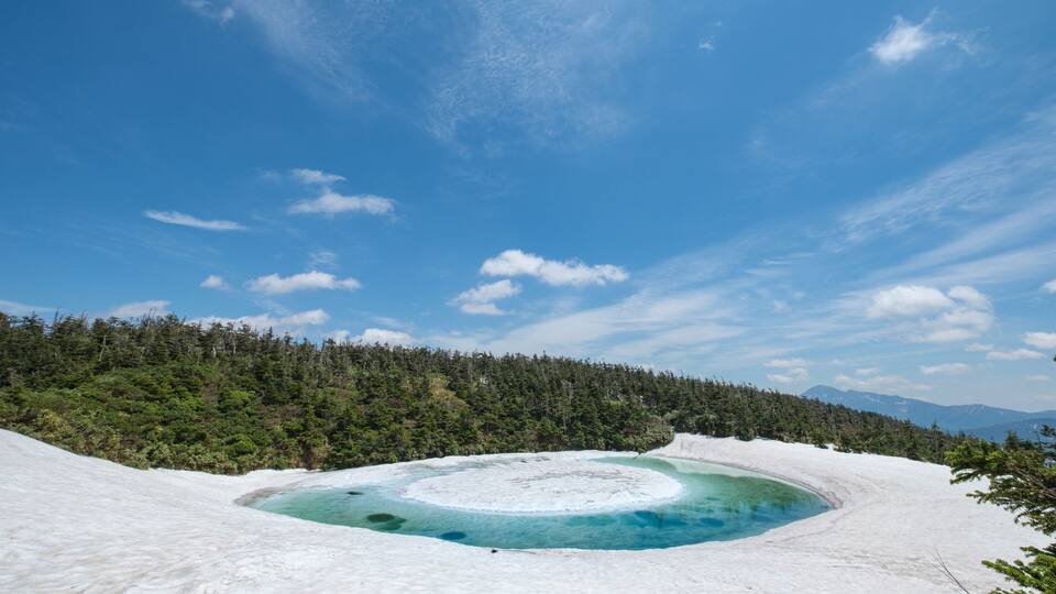 A glacial lake surrounded by snow and forest.