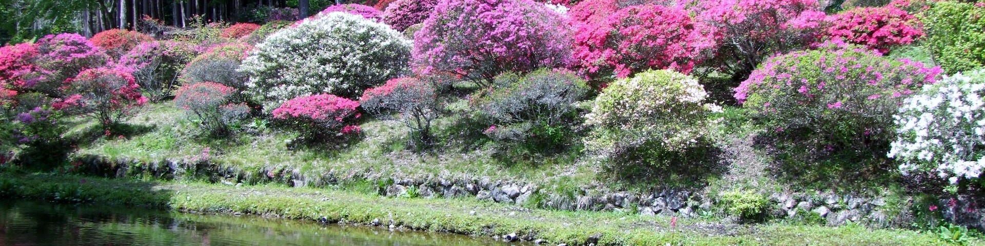 ćžžçŸćŻșæČąăźă€ă€ă