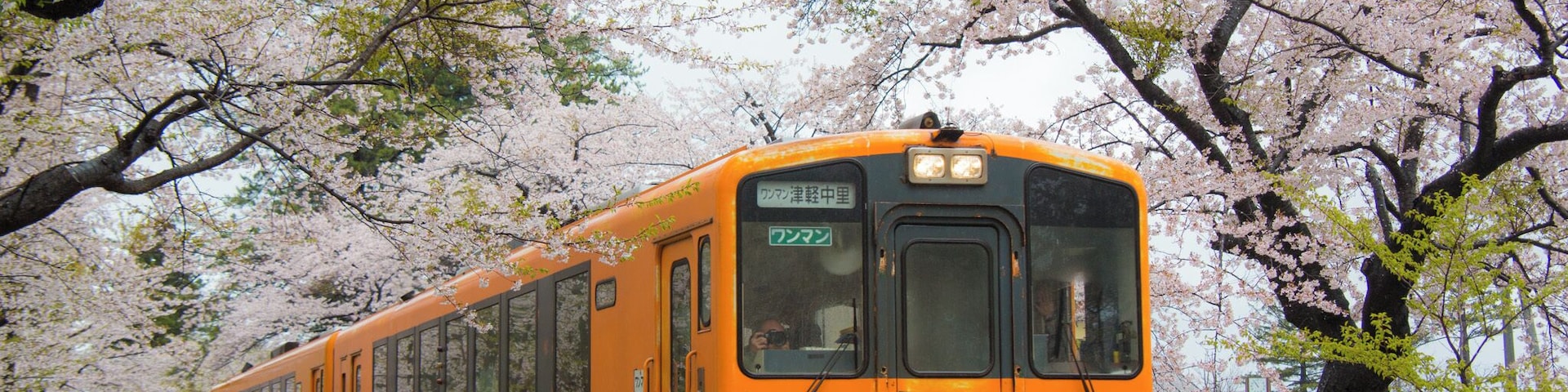 In late of April, cherry blossom along the rail line of Kanagi is a must visit sight seeing spot in Aomori, North East of Japan.