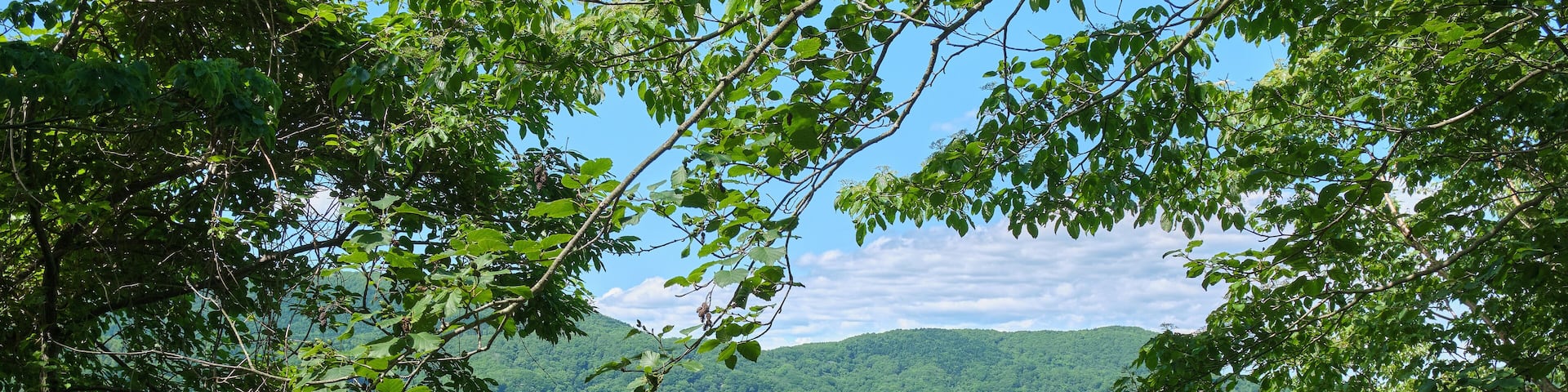 北海道白老町にある倶多楽湖の初夏の風景 / Early summer scenery of Lake Kuttara in Shiraoi Town, Hokkaido