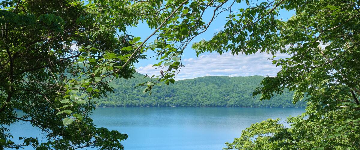 A lake surrounded by dense green trees and hills in the background.