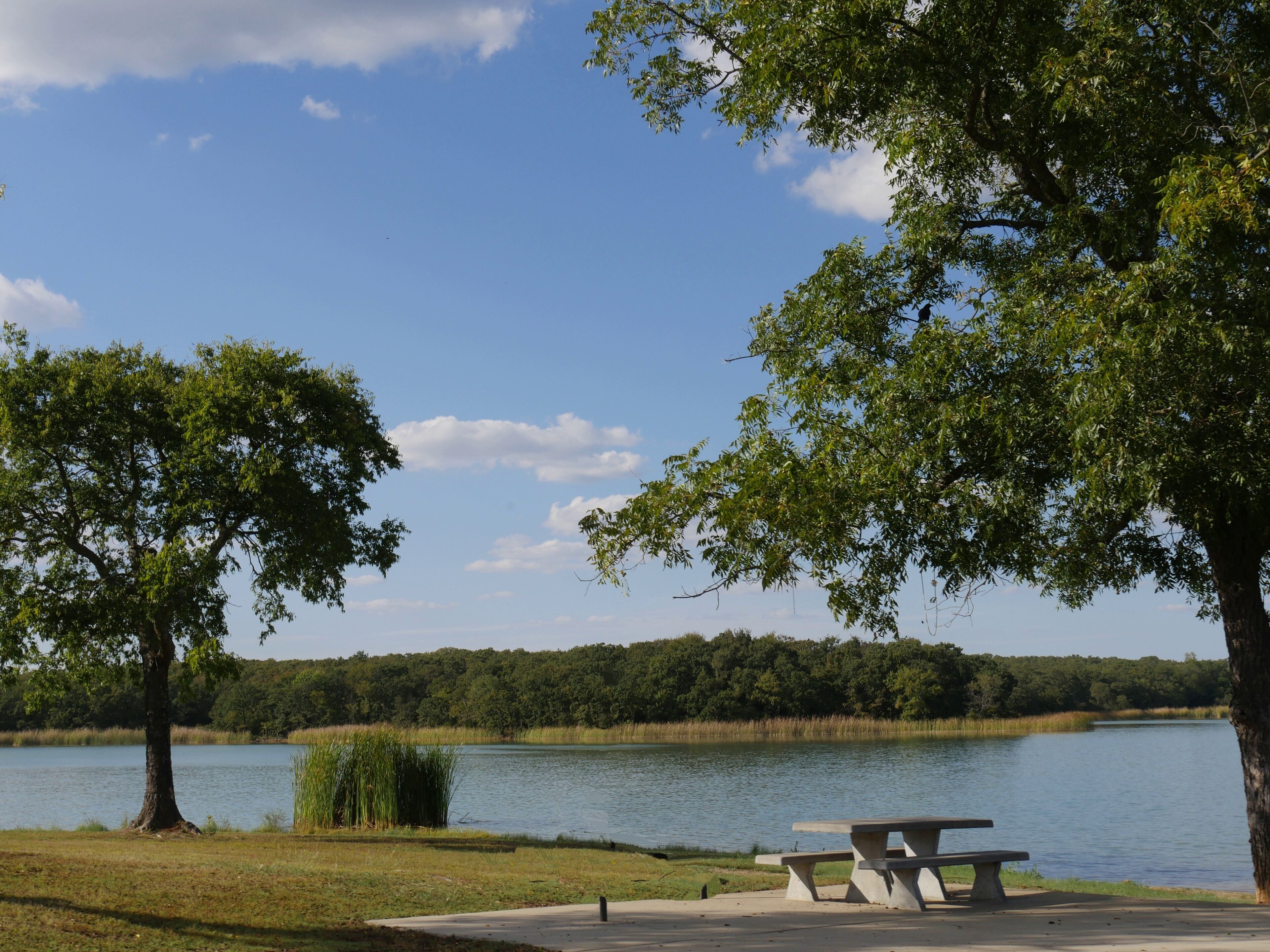 Lake Murray landscape of the lake with a bench and trees in the foreground.