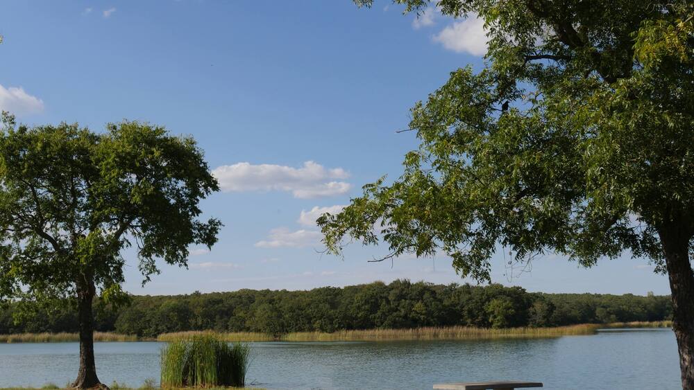 Lake Murray landscape of the lake with a bench and trees in the foreground.