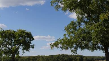 Lake Murray landscape of the lake with a bench and trees in the foreground.