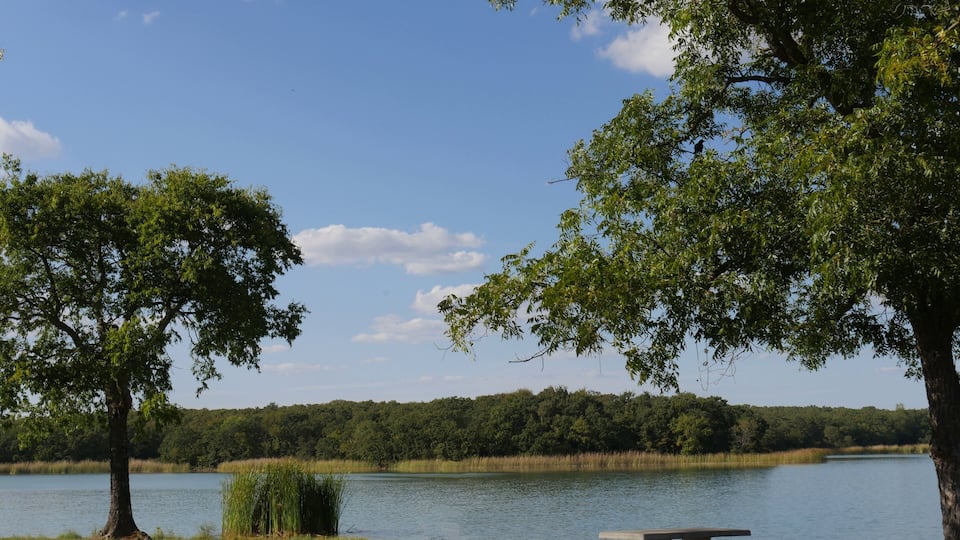 A lakeside park with picnic tables and trees.