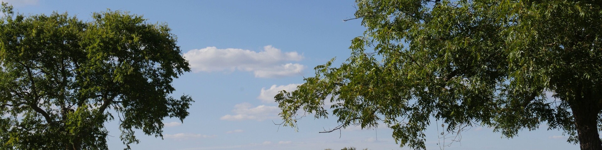 Lake Murray landscape of the lake with a bench and trees in the foreground.
