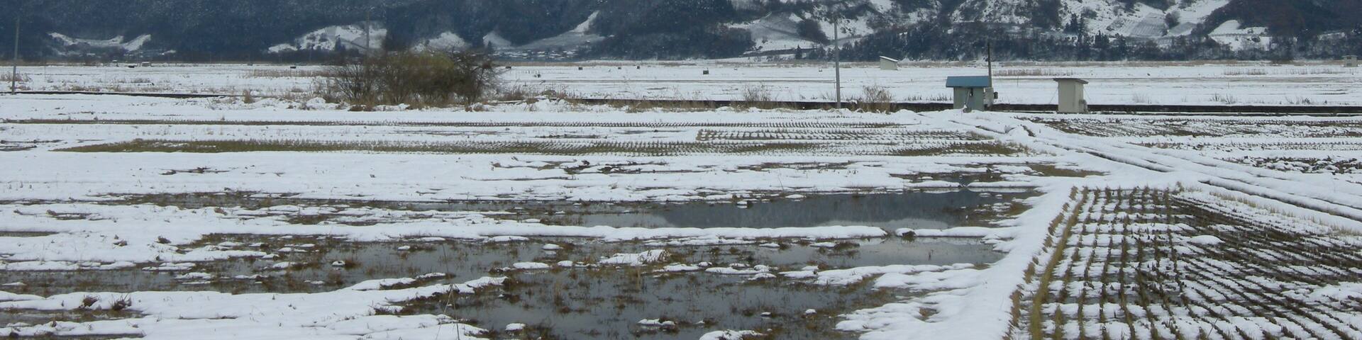 夏とは全く違って見えます...