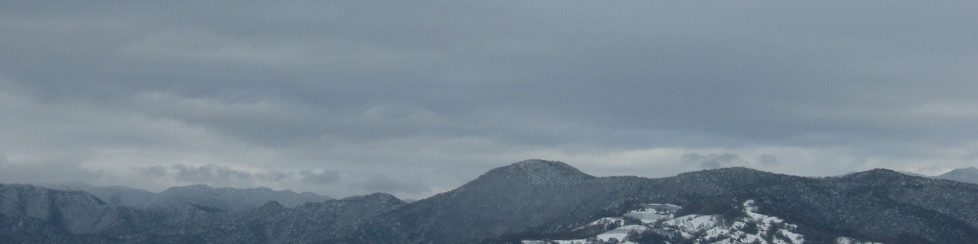 夏とは全く違って見えます...