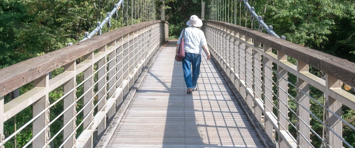 A suspension bridge surrounded by dense forest.
