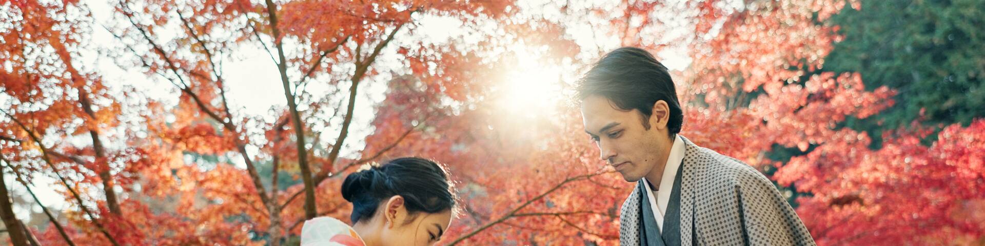 People in park in Japan, bow and traditional clothes with hello, nature and sunshine with respect and culture. Couple outdoor together in garden, greeting with modesty and tradition, polite and kind