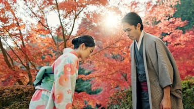 People in park in Japan, bow and traditional clothes with hello, nature and sunshine with respect and culture. Couple outdoor together in garden, greeting with modesty and tradition, polite and kind