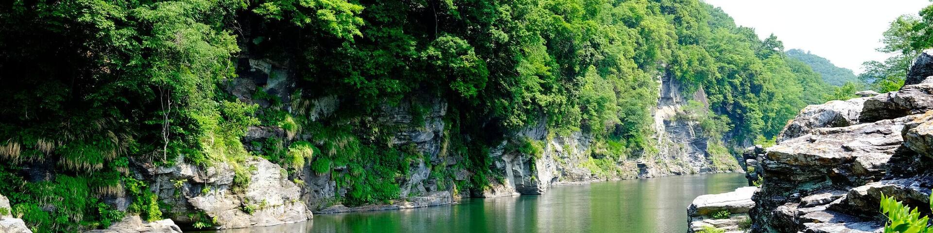 Rhine cruise at Nagatoro.