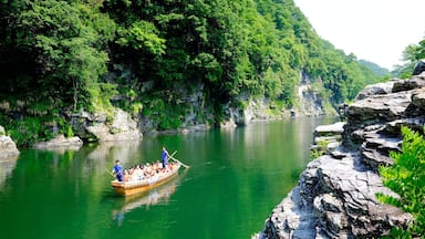 Rhine cruise at Nagatoro.