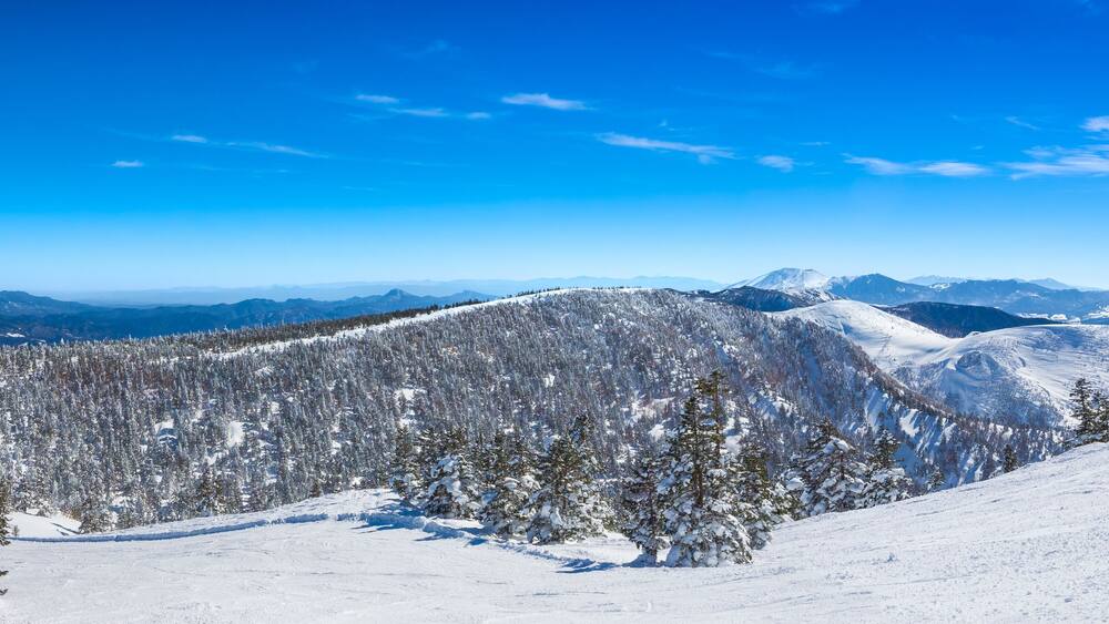 A wide ski slope overlooking a snow-covered forest under a bright blue sky (Shibutoge, Shiga Kogen, Gunma/Nagano, Japan)