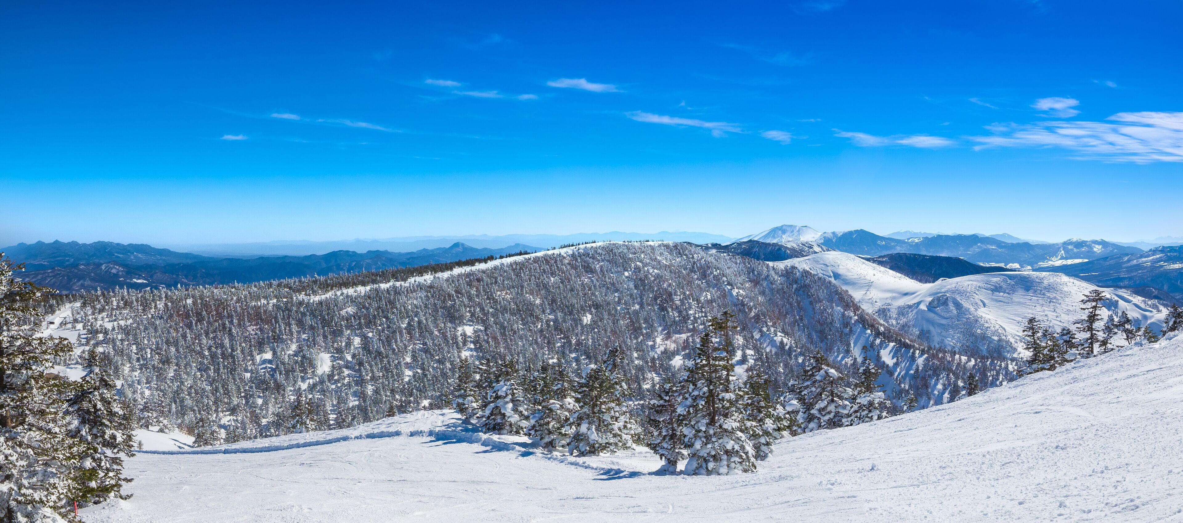 A snow-covered mountain range with dense forests and clear blue skies.