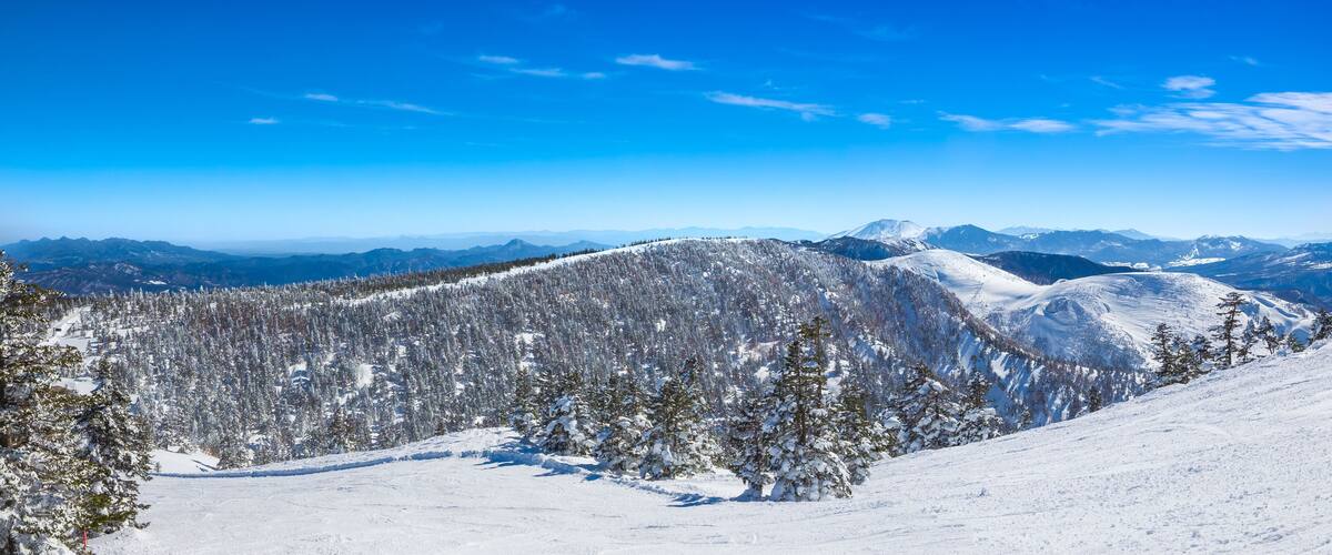 A snow-covered mountain range with dense forests and clear blue skies.