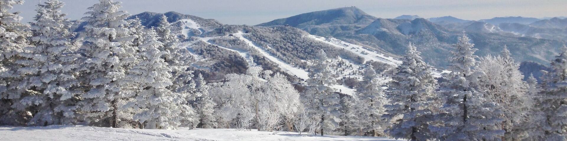 Panoramic view of the beautiful ski area of Shiga Kogen in Yamanouchi, Japan