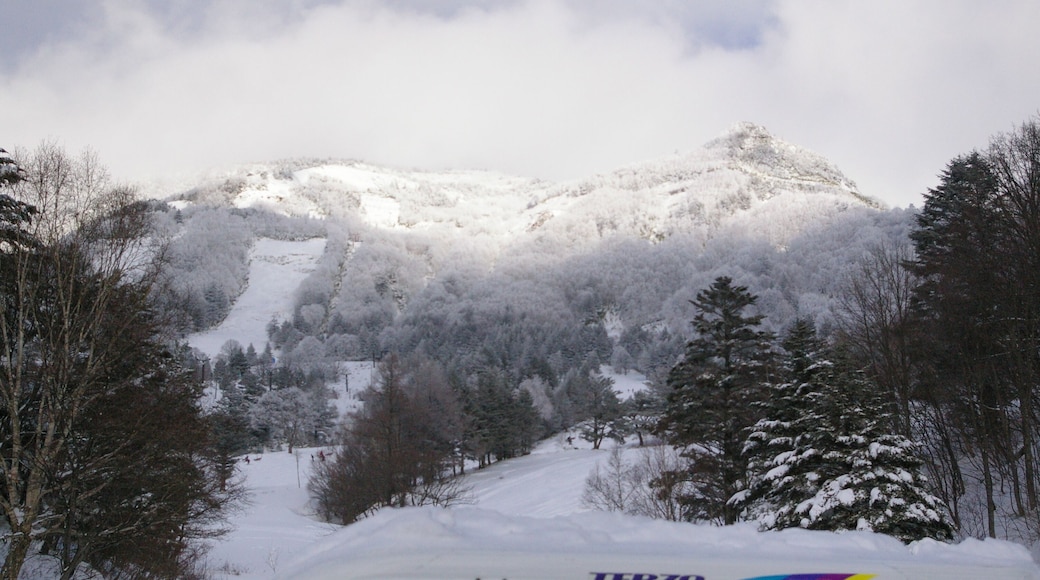 山田牧場 snow park