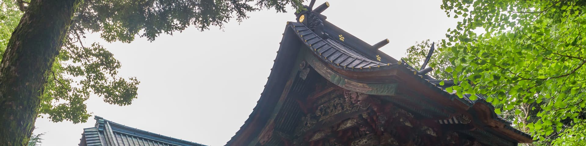 A traditional Japanese temple with ornate architecture and a curved roof, surrounded by lush greenery.