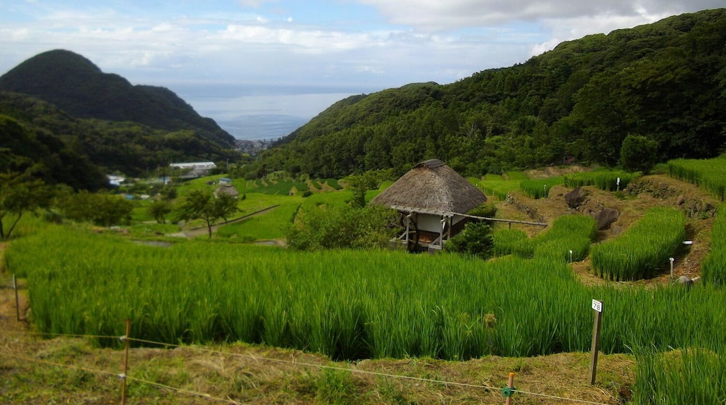 Matsuzaki-cho, Shizuoka Prefecture, Japan.