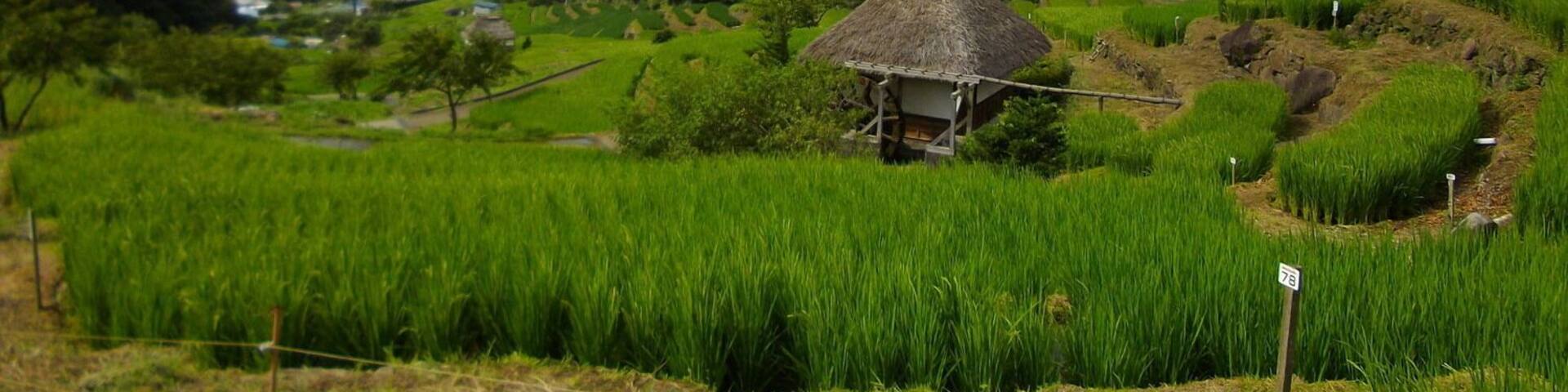 Matsuzaki-cho, Shizuoka Prefecture, Japan.