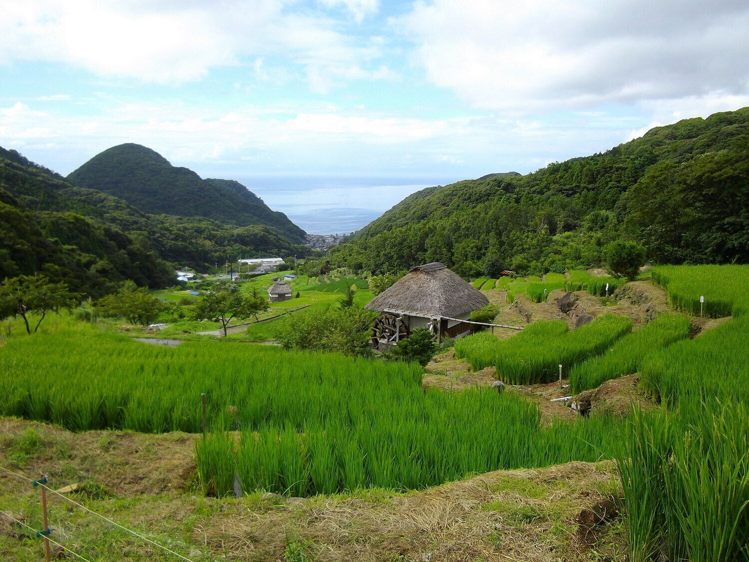 A lush green valley with terraced rice fields, a thatched-roof house, and mountains in the background.