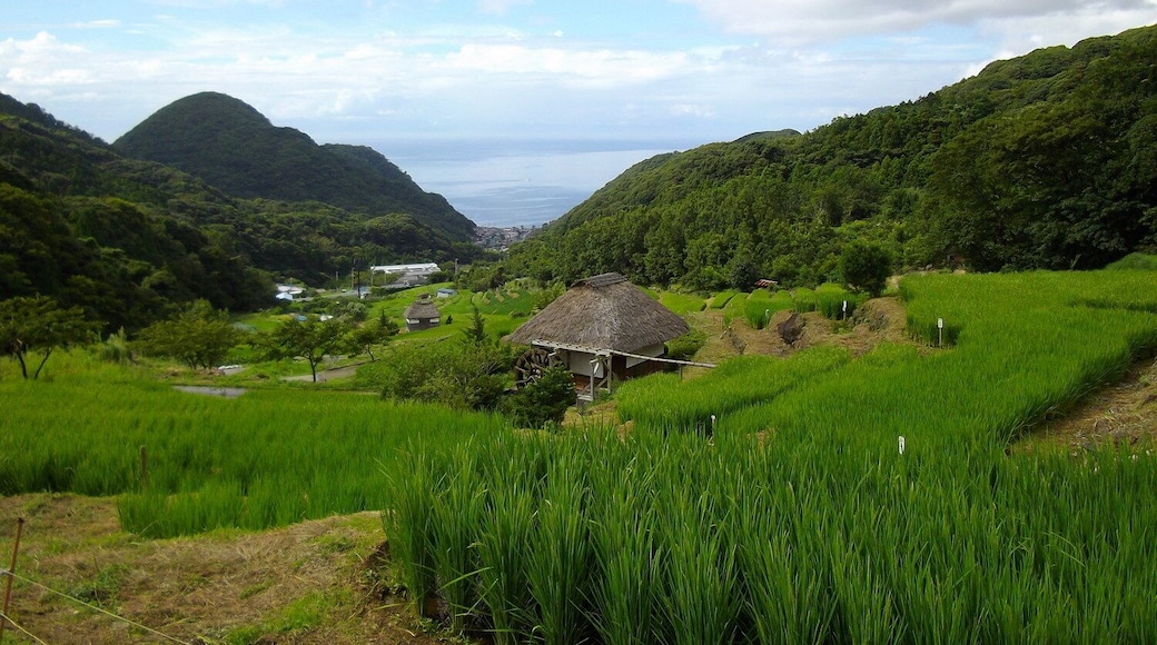 Matsuzaki-cho, Shizuoka Prefecture, Japan.