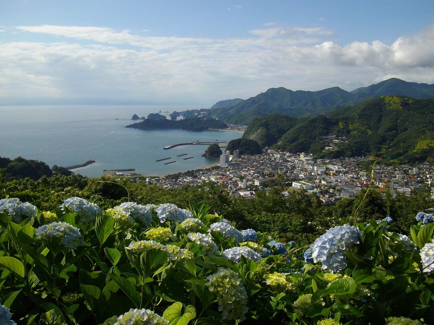 A coastal city with a mountainous backdrop, a harbor with breakwaters, and lush greenery in the foreground.