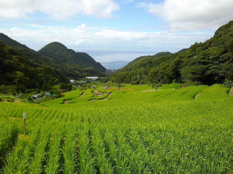Matsuzaki-cho, Shizuoka Prefecture, Japan.