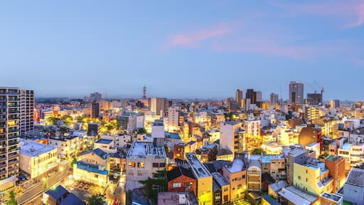Toyashi, Japan downtown skyline panorama.