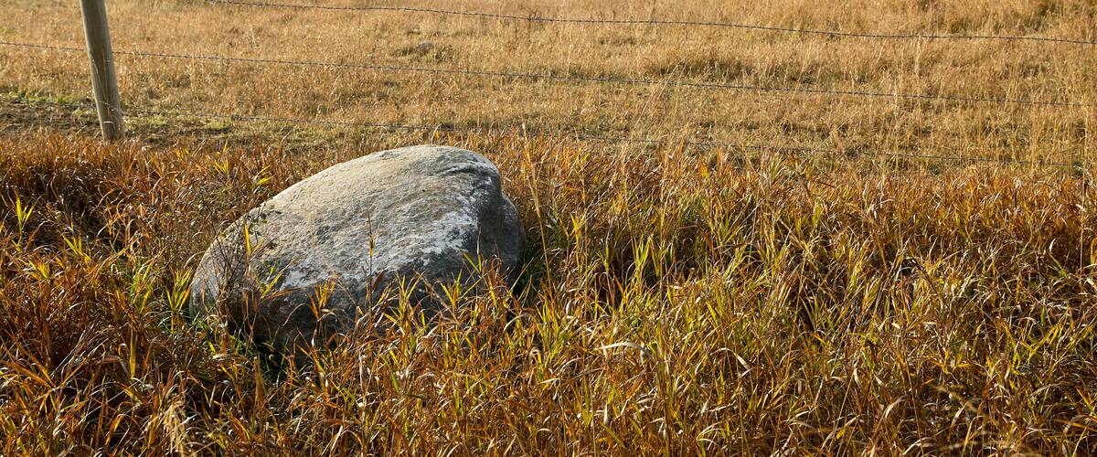A grassy field with a large rock in the foreground and a winding river in the background.