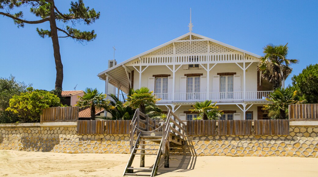 Cap-Ferret