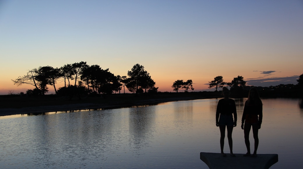 Cap-Ferret