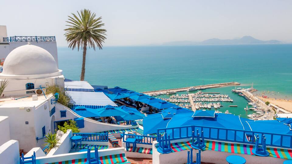 A coastal area with blue-roofed buildings, a palm tree, and a marina with boats.