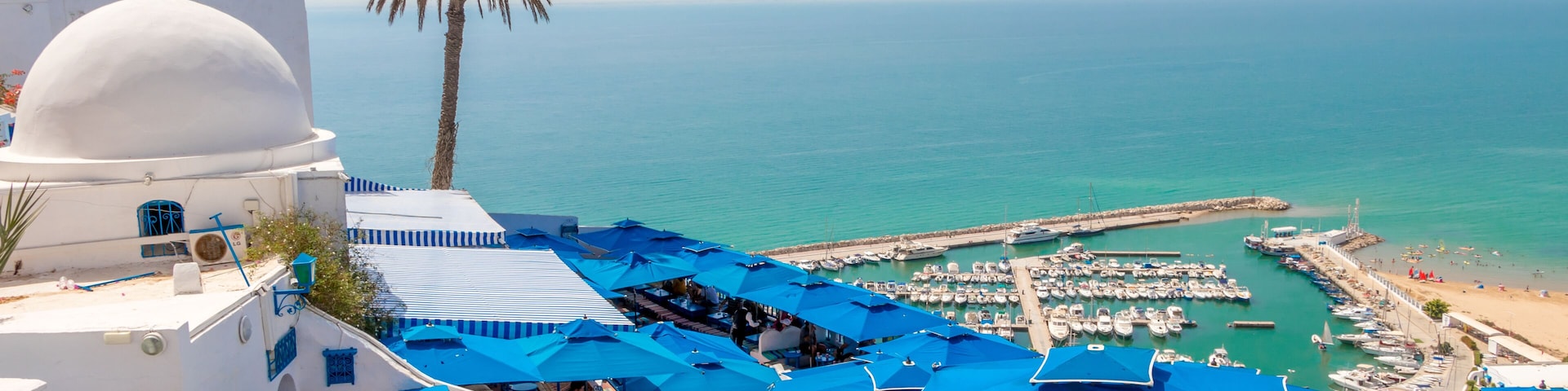 Una zona costera con edificios de techo azul, una palmera y un puerto deportivo con barcos.