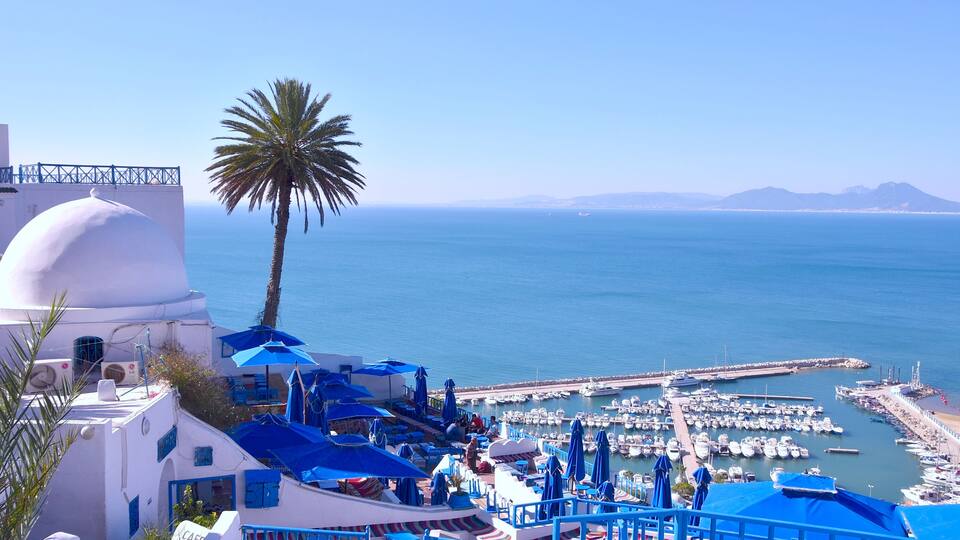 A coastal town with a marina, white buildings with blue accents, and a palm tree.