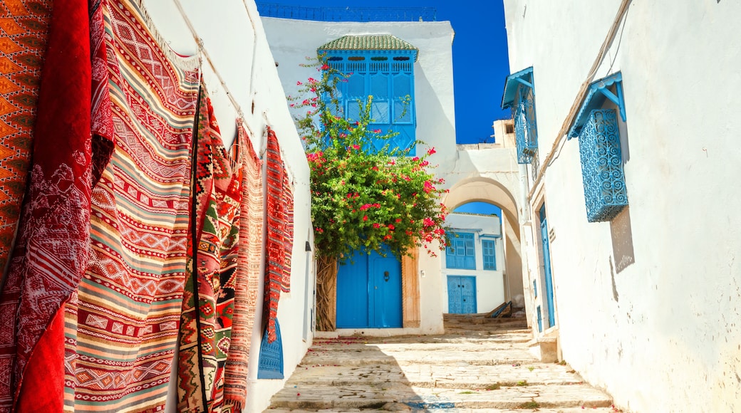 Sidi Bou Saïd