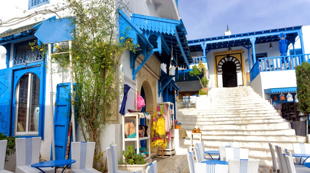 Colorful builidngs in Sidi Bou Said, Tunisia