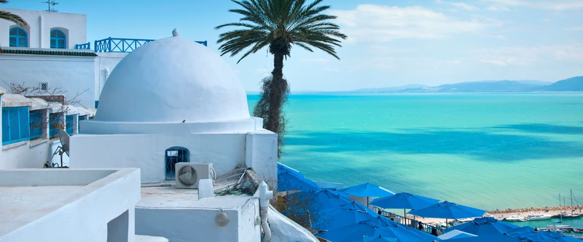 A white building with a dome, a palm tree, and a view of the sea.