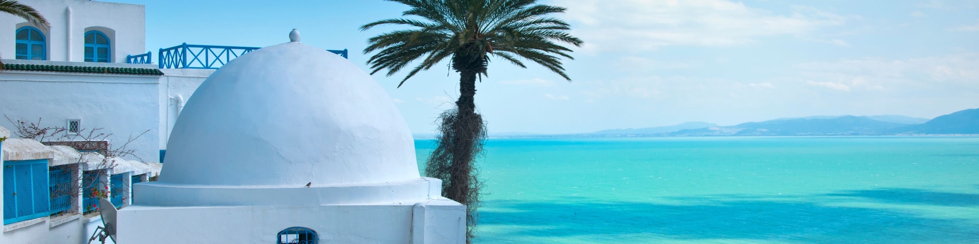 A white building with a dome, a palm tree, and a view of the sea.