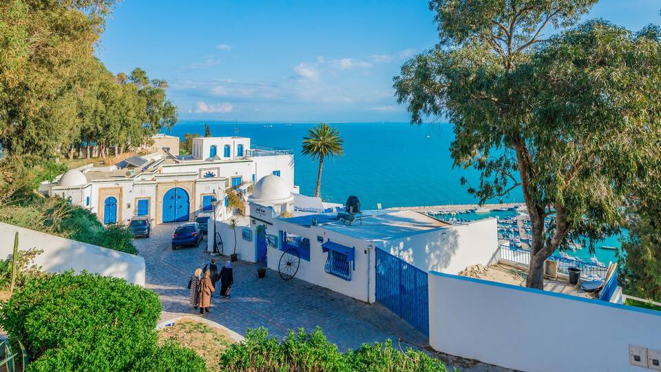 A coastal village with white buildings, blue doors, and a clear view of the sea.