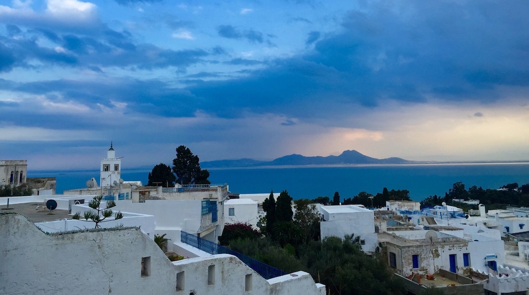 ...it was an amazing surprise in Tunisia.