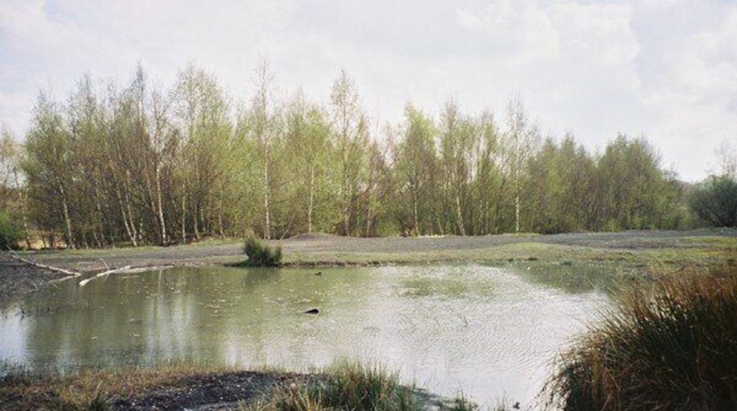 Pond at Claybrookes Marsh Claybrookes Marsh is a Site of Special Scientific Interest on the site of the former Binley Colliery, which closed in 1963. According to the Warwickshire Wildlife Trust, it's an important area for rare invertebrates, but that doesn't seem to stop it being much used for off-road motorbiking.