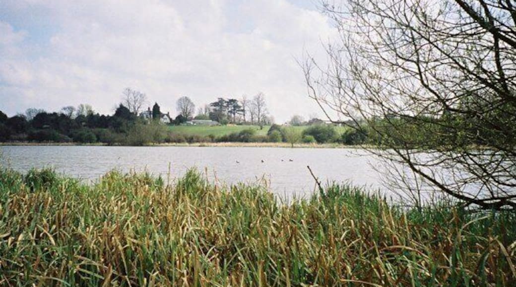 Stoke Floods looking towards Binley church and vicarage Stoke Floods is a nature reserve comprising a pool surrounded by reedbeds and scrub. The pool is a flash, a body of water occupying land that has subsided, in this case as a result of mine-workings at Binley Colliery.
